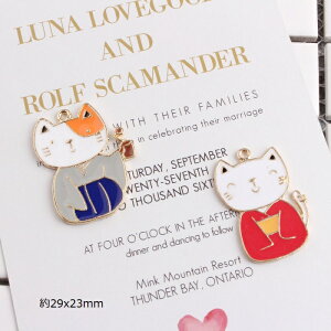 L lR  `[ sAXp[c ANZT[p[c 1