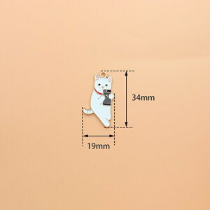 L `[ sAXp[c ANZT[p[c 1