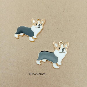  `[ sAXp[c ANZT[p[c 1