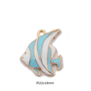  `[ sAXp[c ANZT[p[c 1