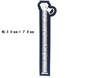 t@Xi[ by AbvP ACΉ |ޗ 1