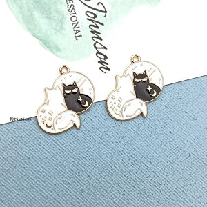 L lR `[ sAXp[c ANZT[p[c 1