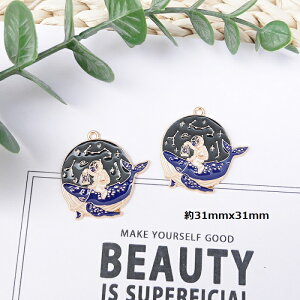 Fsm NW ~ `[ NW ANZT[p[c 1