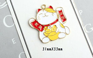 L `[ sAXp[c ANZT[p[c 1