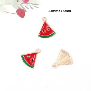 XCJ Z ʕ `[ sAXp[c ANZT[p[c |ޗ 1