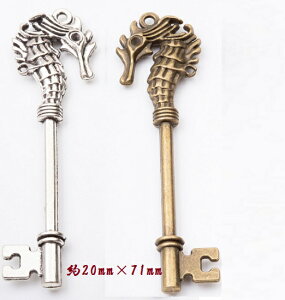 ^cmIgVS   `[ sAXp[c ANZT[p[c `[t 1