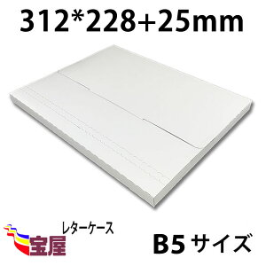 (  /600) B5TCY@[֐pP[X@zܗp@ ( 31.2CM 22.8CM 2.5CM )  ( 450g m ) ..ב.z.}.I[NV.ו.ʔqq