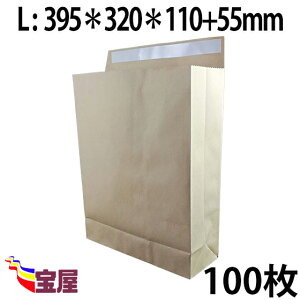 (  ) z p ܁@LTCY ( 395*320*110 )  ( 120g m ) 100 ..ב.z.}.I[NV.ו.ʔqq