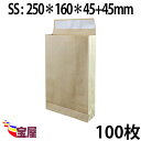 ( 送料無料 ) 宅配袋 角底袋 紙袋　SSサイズ ( 250*160*45 ) 超厚手 ( 約120g m ) 100枚入 発送.梱包.荷造り.宅配便.宅急便... ランキングお取り寄せ