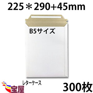 (  ) zܗp@ rWlX^[P[X ( 29CM 22.5CM ) B5 Ή  ( 300g m ) 300 ..ב.z.}.I[NV.ו.ʔqq