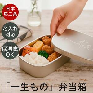 名入れ ステンレス 弁当箱 日本製 おいしさを守る 燕三条 ステンレス お弁当箱 ネコ 小サイズ 約 280ml 子供 