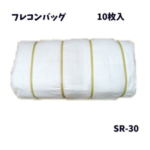 g 10 GXGXY ^ReiobO tRobO PPtR ی^ roȂ tLVuRei gobO W{ŷ yX ЊQ H SR-30