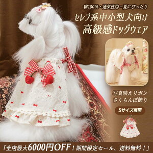 2025V hbOEFA ėphJ{s[X ^E^Ή 100 f ꁕ MtgɍœK ʂȓ̌