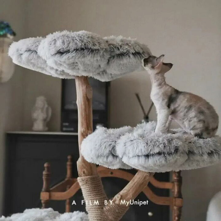 楽天市場】キャットタワー 木製 無垢材 おしゃれ 【雲にのる】MyUnipet 