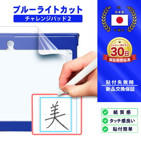 チャレンジパッド 2 フィルム ブルーライトカット challenge pad2 学習 勉強 塾 タブレット 画面 保護 薄型 疲れ目軽減 液晶 ペーパーライク 低反射 ケースに干渉しない ブルーライト クリア 透明