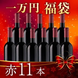 【送料無料】 【一万円福袋】欧州赤11本 福袋 【W05333】