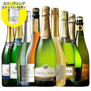 【 特別 送料無料 】【ストッパー付】金賞&高評価&シャンパン製法入り!世界の選りすぐり辛口スパークリング9本セット【7792246】 | 飲み比べ ワイン ワ...