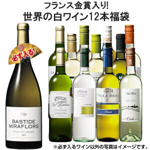 【送料無料】 フランス金賞入り!世界の白ワイン12本福袋 白ワイン 辛口 ワインセット 【7788832】