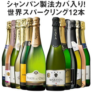 【12/5・12/10 エントリーでP10倍!】 【送料無料】【59%OFF】シャンパーニュ製法カバを含む世界銘醸国の泡12本セット 第25弾 スパークリングワイン 辛口 ワインセット 【7793168】