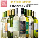 【 送料無料 】52％OFF 三大銘醸地＆金賞入り!世界の辛口白ワイン12本セット 第60弾 白ワイン ワインセット 辛口 【7767529】