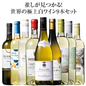 推しが見つかる!世界の極上白ワイン9本セット 白ワイン 辛口 ワインセット 【W04032】