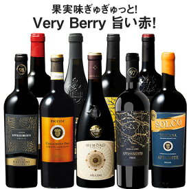 【送料無料】 金賞＆ルカ・マローニ99pt入り!イタリア「ベリ旨」赤ワイン9本セット 第23弾 赤ワイン ワインセット 【W05086】