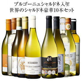 【送料無料】 45％OFF ブルゴーニュ・シャルドネ入り!世界のシャルドネ白10本セット 第11弾 白ワイン 辛口 ワインセット 【W05221】