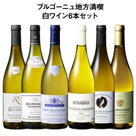 【送料無料】 すべてシャルドネ!ブルゴーニュ地方満喫白6本セット 第5弾 白ワイン 辛口 ワインセット 【W05506】