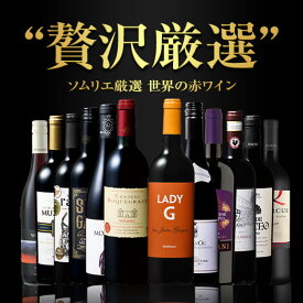 【送料無料】 贅沢リッチな世界の赤ワイン12本セット 第2弾 赤ワイン フルボディ ミディアムボディ ワインセット 【W05602】