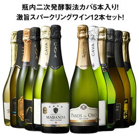 【送料無料】瓶内二次発酵製法カバ5本入り!!激旨スパークリングワイン12本セット 第14弾 スパークリングワイン 辛口 ワインセット 【W07010】