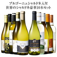 【送料無料】 48％OFF ブルゴーニュ・シャルドネ入り!世界のシャルドネ白10本セット 第19弾 白ワイン 辛…