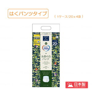 yP[X̔z ͂pc^Cv Ic M-LTCY 20x4 ̗ EL R GA΂ ̗̓pc jp pIc  APA A  r Ic J~ 