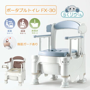  |[^ugC FX-30 炭]E ʃK[h   pi pgC  h ЊQ r L ȈՃgC A