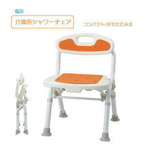 ܂肽ݎV[`FA RpNg oX`FA ω׏d 100kg C  ֎q V[x` C֎q   CCX TeCg 