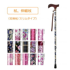  Lk^ ԕ X^Cv s⏕ ]|h~{ y Lk N  Ԍ o ₷ CtXebL