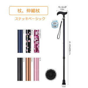  Lk^ x[VbN^Cv n s⏕ ]|h~  { ɂ y Lk N  Ԍ o ₷ ܂XebLx[VbN EFt@