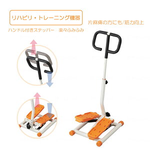 ハンドル付きステッパー リハビリ 健康運動 生活支援 機能訓練器具 ステップ運動 健康器具 筋力向上 健康ステッパー ダイエット 高齢者 運動器具 室内 ステップ トレーニング エクササイズ