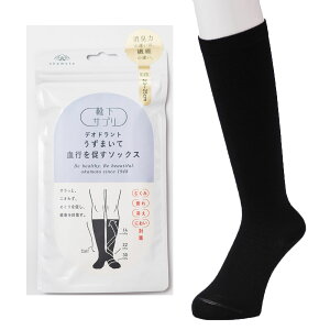 yCTvzfIhg ܂Čs𑣂\bNX 21-23cm 23-25cm  { C nC\bNX ʈË@ om-632-992