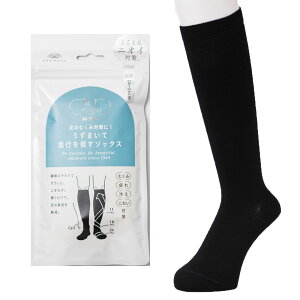 yCTvzMEN ܂Čs𑣂\bNX 24-26cm 26-28cm  { C nC\bNX Y jp ʈË@ om-672-990