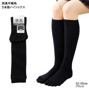 L 5{w n nC\bNX 22-25cm  ubN fB[X C LOIWi king-70-g4