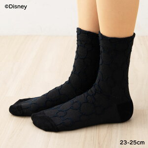 ~bL[ ~c} t[g N[\bNX  23-25cm fB[X C fBYj[  fk-300-24n5-090