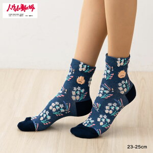 JVt@[ t[g N[\bNX 23-25cm fB[X C X^WIWu nE̓  fk-334-24f4-700