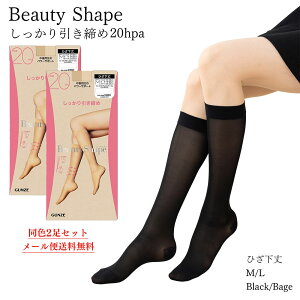 �y2���Z�b�g�z�O���[ �r���[�e�B�V�F�C�v ���� �Ђ��� �X�g�b�L���O ��������������� ����20hpa M�EL ���f�B�[�X �n�C�\�b�N�X �C�� GUNZE BeautyShape ���[���֑������� gz-eas-801