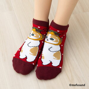 mofusand �����Ă��� �A���N����\�b�N�X 23-25cm �� ���f�B�[�X �C�� ���t�T���h �l�R wi-msl652006