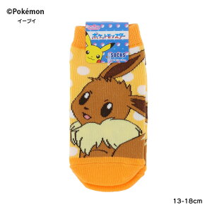 yLbYz|PbgX^[ C[uC hbg CG[ 13-18cm Xj[J[\bNX |P X[vlbg sp-pm1468j