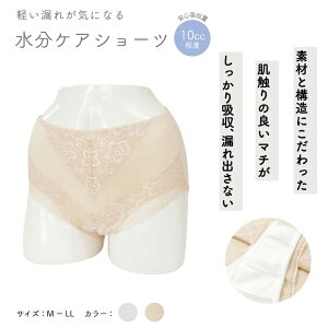 yTbtB[vXzPAV[c 10cc O V[X MELELL ȑf z fB[X gsi-slp52853