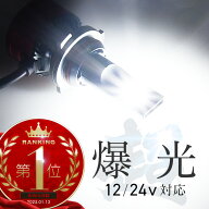 ヘッドライト フォグランプ LED バルブ H1 H3 H7 H8 H9 H11 H16 HB3 HB4 HIR2 車検対応 爆光 ホワイト 白…