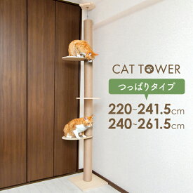 キャットタワー 突っ張り つっぱり 大型 省スペース スリム コンパクト 220-240 240-260 おしゃれ 大型猫 シニア 仔猫 子猫 多頭飼い 爪とぎ