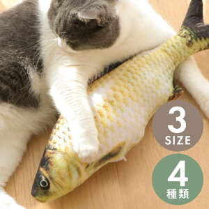 L  R肮 Lp ʂ   ܂ RC T[ T} To 20cm 30cm 40cm