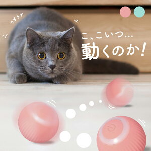 猫じゃらし 猫 おもちゃ 電動 ボール 充電 USB オモチャ 玩具 自動 回る 回転 動く 一人遊び 安全